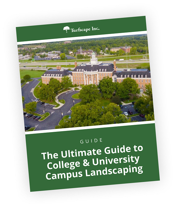 The Ultimate Guide to College landscaping